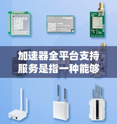 加速器全平台支持服务是指一种能够在多种操作系统和硬件平台上运行的加速器，旨在为数据处理、网络传输和存储等任务提供高效的支持。以下是对这一概念的详细分析和总结