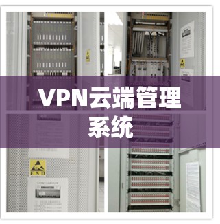 VPN云端管理系统