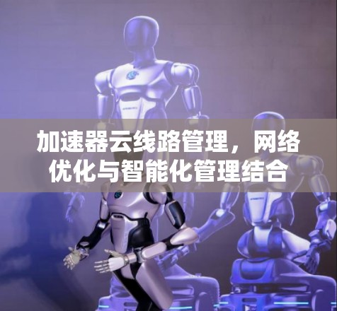 加速器云线路管理，网络优化与智能化管理结合