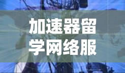 加速器留学网络服务可以帮助留学生和研究人员更高效地完成留学申请和相关流程。以下是一些关键步骤和建议，帮助您最大化利用这些服务