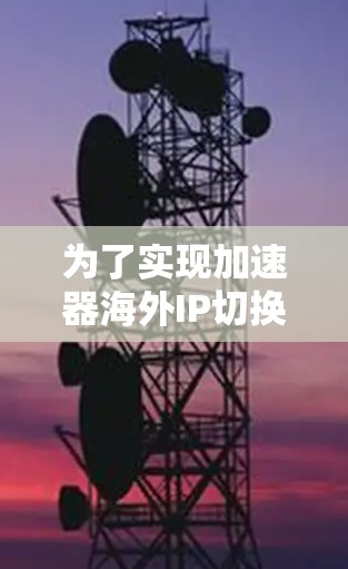 为了实现加速器海外IP切换，以下是一份详细的步骤指南