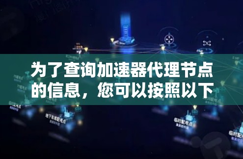 为了查询加速器代理节点的信息，您可以按照以下步骤操作