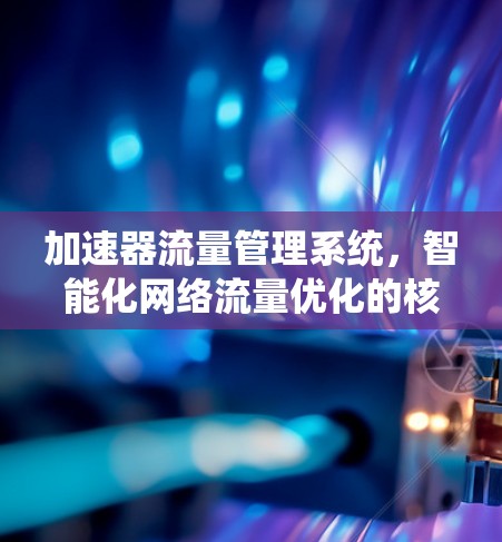 加速器流量管理系统，智能化网络流量优化的核心解决方案