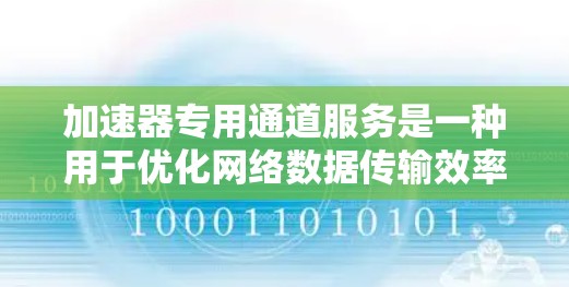 加速器专用通道服务是一种用于优化网络数据传输效率的解决方案，主要在数据中心和云计算环境中应用。以下是对这一服务的详细总结