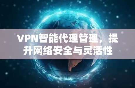VPN智能代理管理，提升网络安全与灵活性