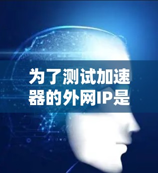 为了测试加速器的外网IP是否可达，您可以按照以下步骤进行
