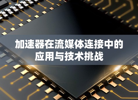 加速器在流媒体连接中的应用与技术挑战