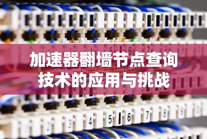 加速器翻墙节点查询技术的应用与挑战