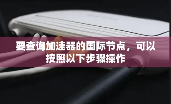 要查询加速器的国际节点，可以按照以下步骤操作