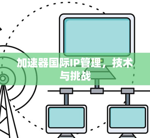 加速器国际IP管理，技术与挑战
