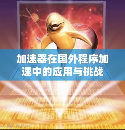 加速器在国外程序加速中的应用与挑战