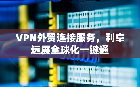 VPN外贸连接服务，利阜远展全球化一键通