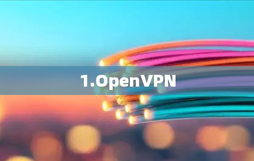 1.OpenVPN