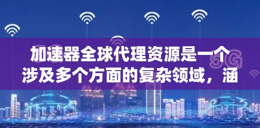 加速器全球代理资源是一个涉及多个方面的复杂领域，涵盖了从技术到商业运营的多个层面。以下是对这一领域的系统性分析和总结