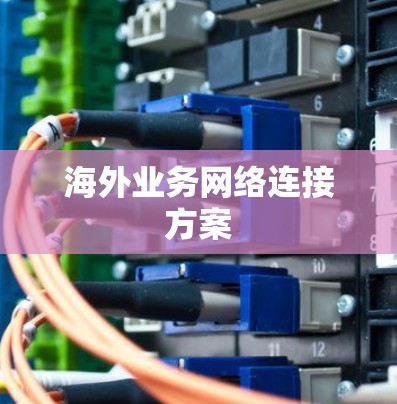 海外业务网络连接方案
