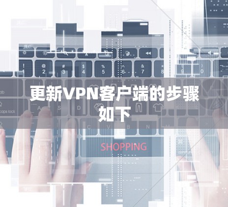 更新VPN客户端的步骤如下