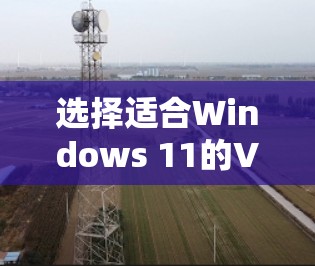 选择适合Windows 11的VPN客户端需要综合考虑多个因素，以下是根据您的需求整理的推荐
