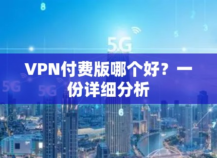 VPN付费版哪个好？一份详细分析
