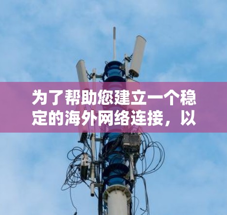 为了帮助您建立一个稳定的海外网络连接，以下是一个分步指南