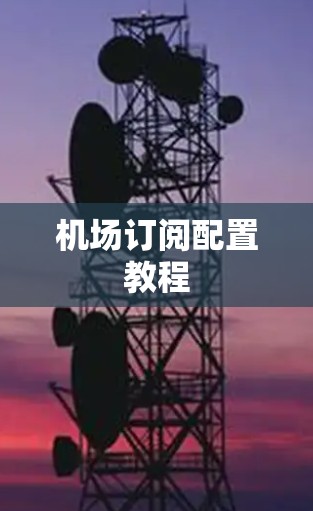 机场订阅配置教程