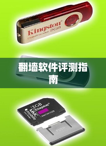 翻墙软件评测指南