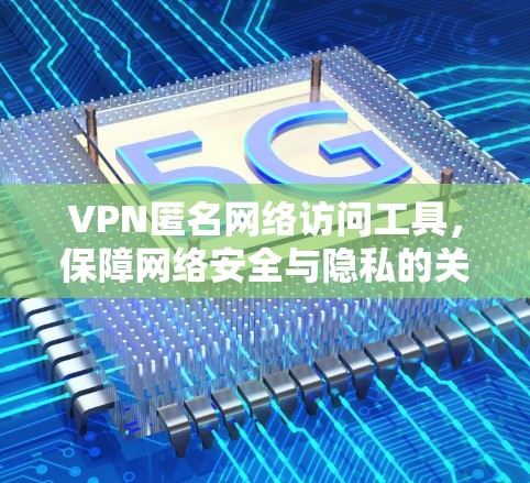 VPN匿名网络访问工具，保障网络安全与隐私的关键技术