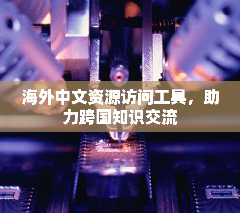 海外中文资源访问工具，助力跨国知识交流