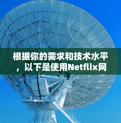根据你的需求和技术水平，以下是使用Netflix网络连接工具的分步指南