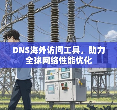 DNS海外访问工具，助力全球网络性能优化