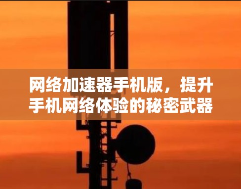 网络加速器手机版，提升手机网络体验的秘密武器
