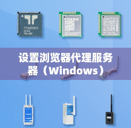 设置浏览器代理服务器（Windows）