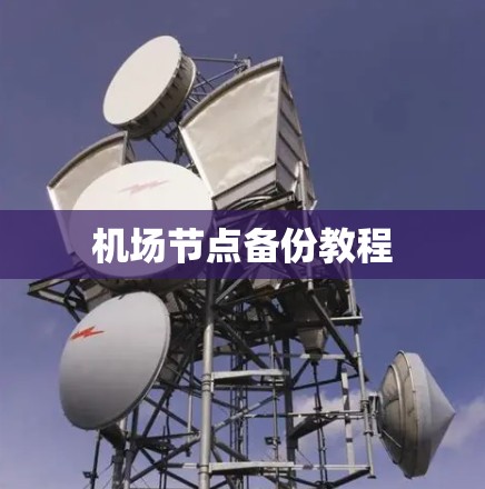 机场节点备份教程