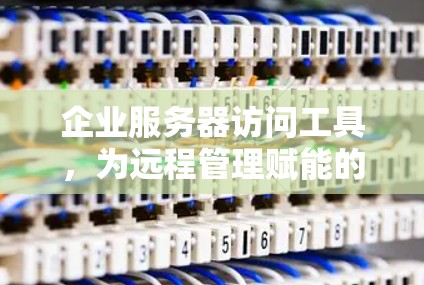 企业服务器访问工具，为远程管理赋能的强大助力