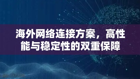 海外网络连接方案，高性能与稳定性的双重保障