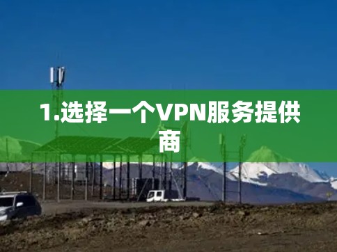 1.选择一个VPN服务提供商
