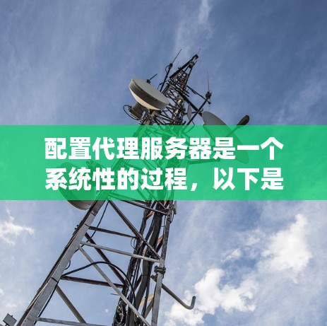 配置代理服务器是一个系统性的过程，以下是针对不同操作系统的详细步骤指南