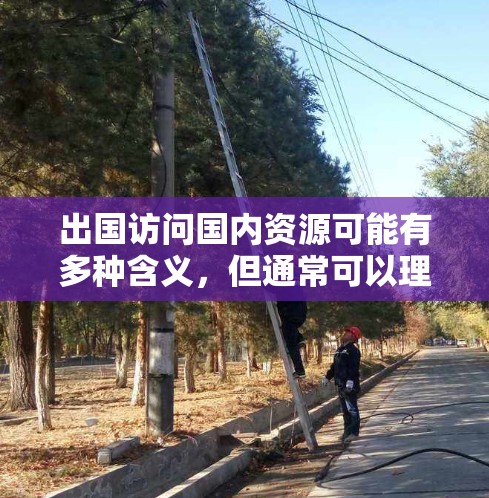 出国访问国内资源可能有多种含义，但通常可以理解为在国外进行访问活动时，如何利用国内的资源、优势以及基础设施来支持相关工作或项目。以下是一些可能的解释和建议